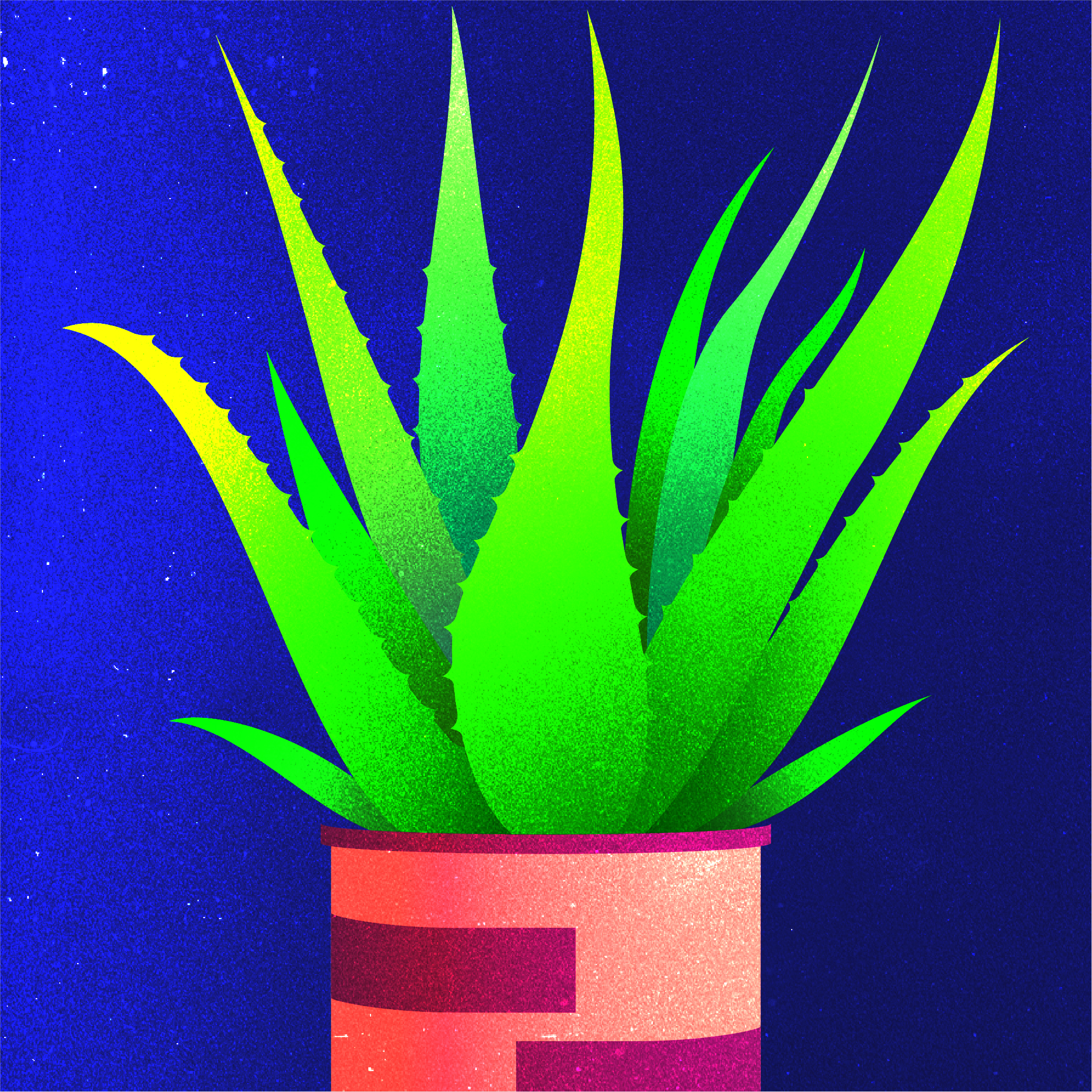 Vector illustration of a potted aloe vera plant.