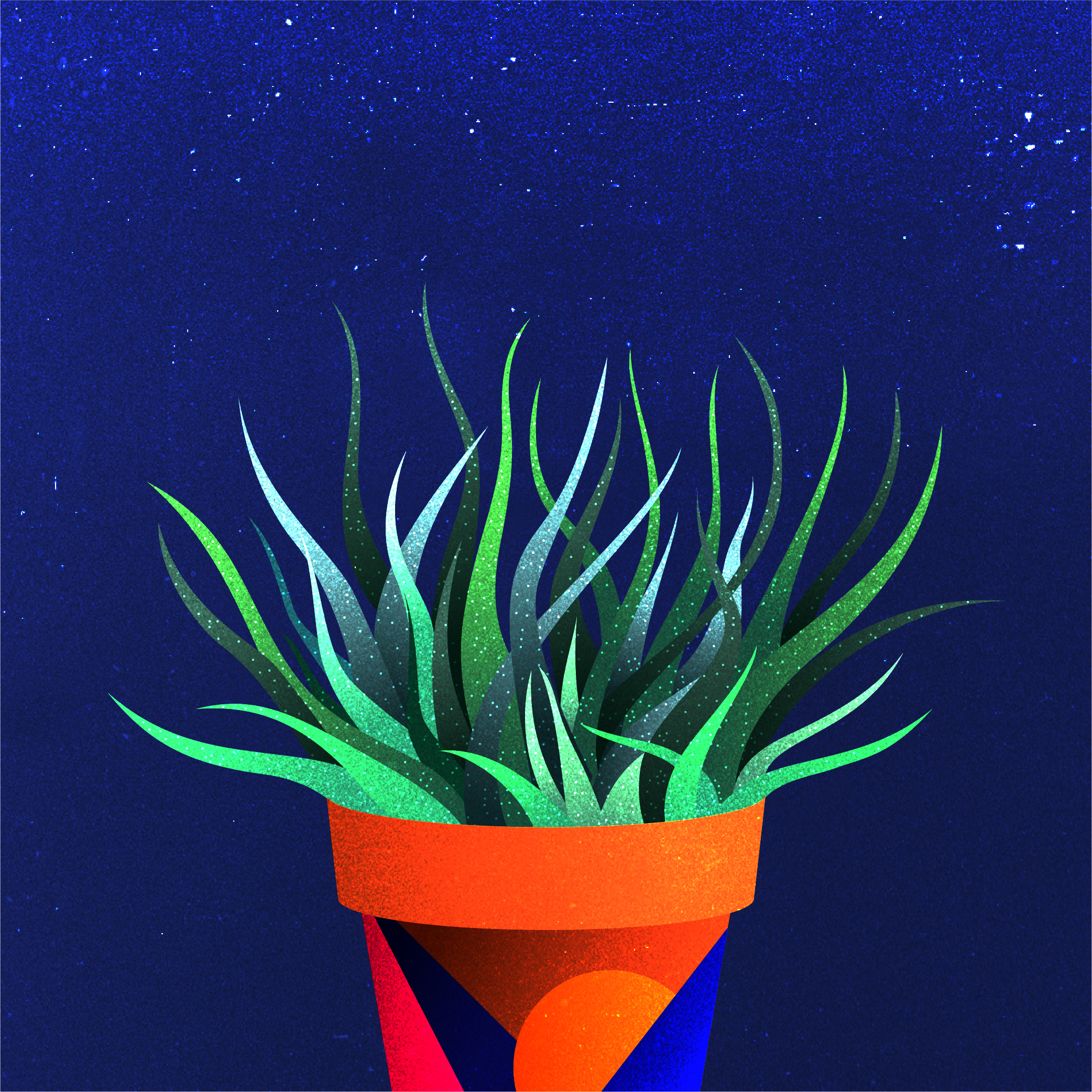 Vector illustration of a potted zebra cactus.