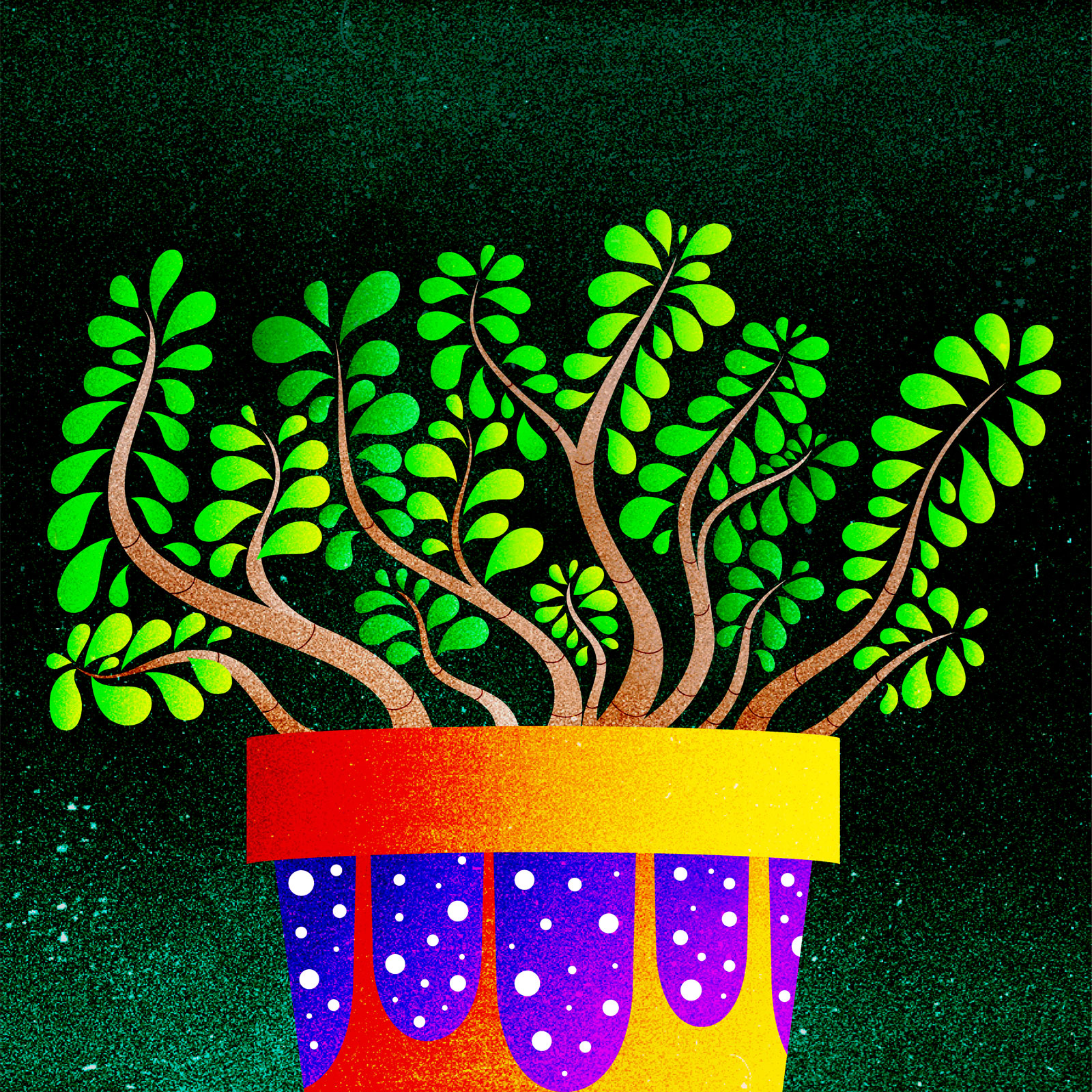 Vector illustration of a potted jade plant.