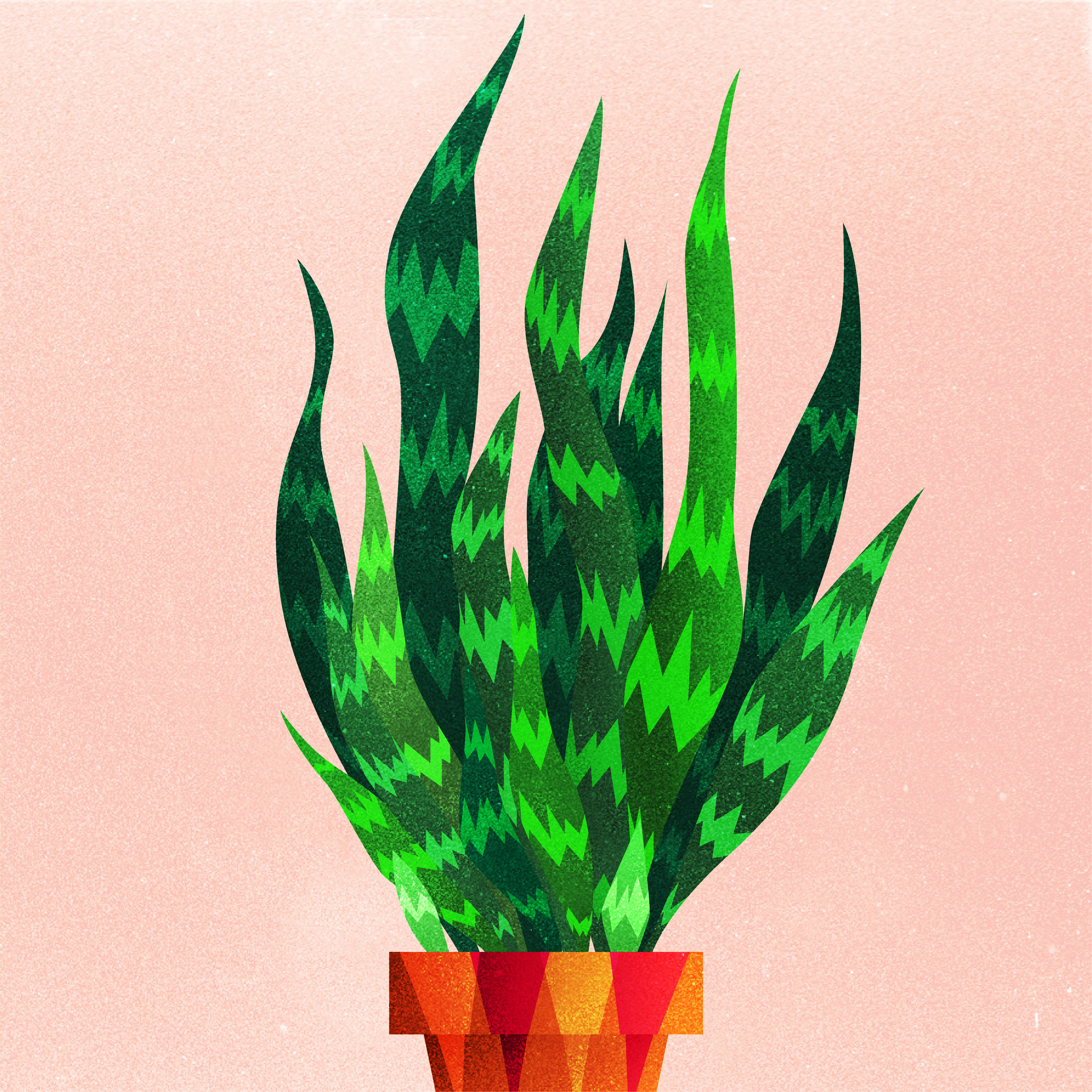 Vector illustration of a potted snake plant.