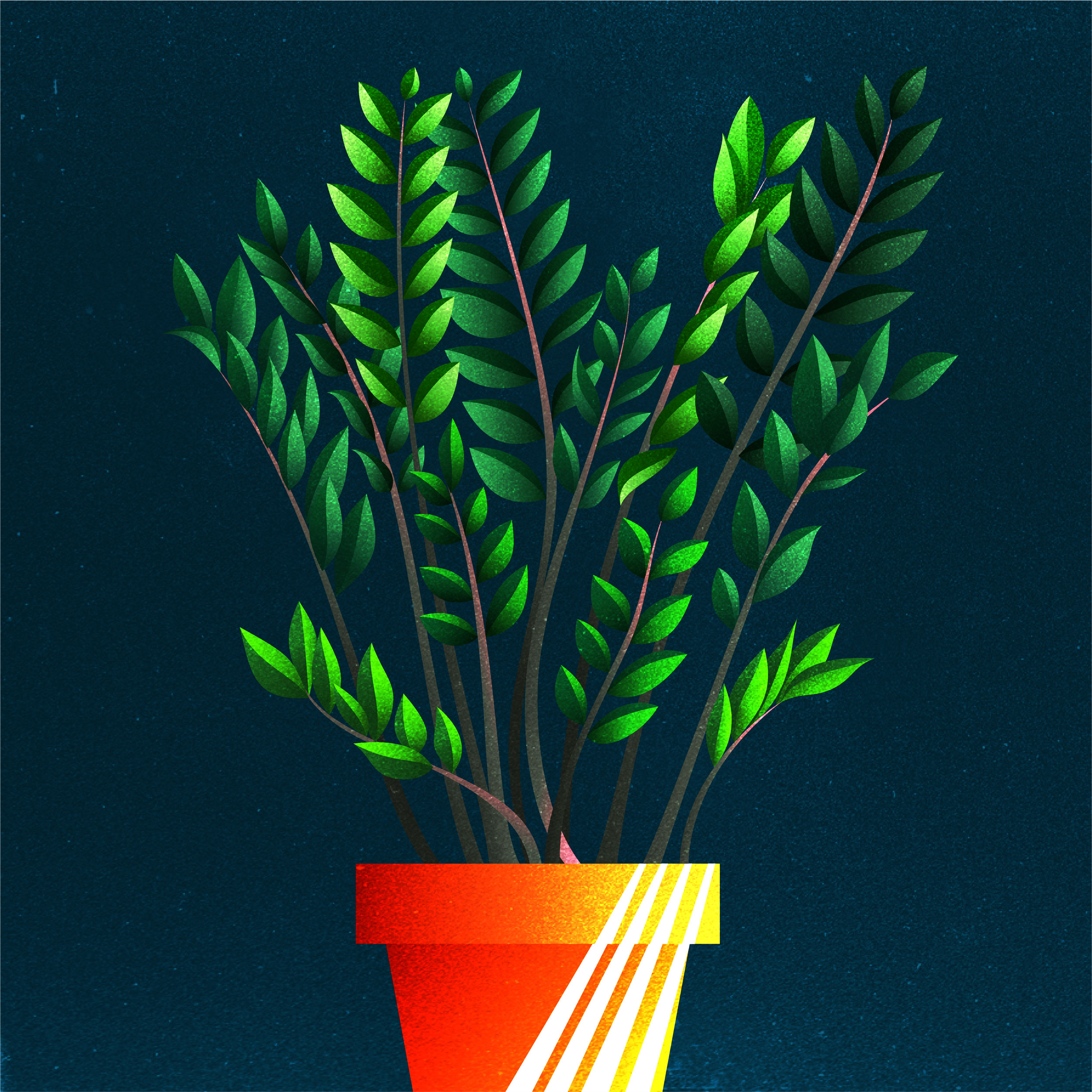 Vector illustration of a potted ZZ plant.